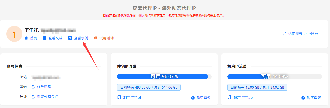 穿云代理IP – 提取代码示例